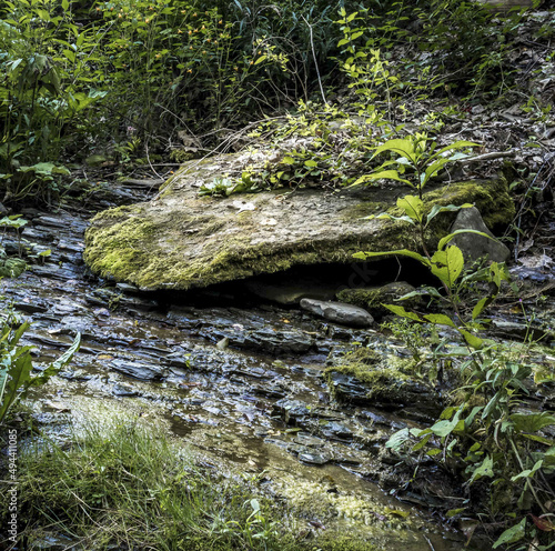 Closeup of a mossy rock alongside Purdy Creek in western New York State photo