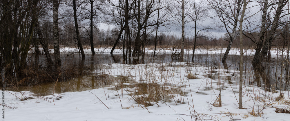 River in flood. Landscape with a river. Trees in the water. Last year's grass on thawed patches. Thaw, melting snow. River in flood. Landscape with a river. Trees in the water. Last year's grass on thawed patches. Thaw, melting snow.