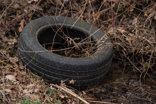 Old used rubber car tire discarded on raw forest ecosystem environmental pollution.