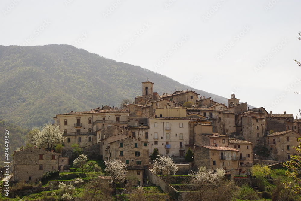 Scanno - Abruzzo - Almond trees in bloom in spring