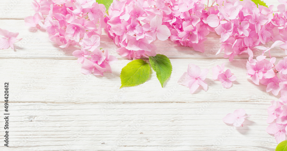 pink hydrangea on white wooden background pink hydrangea on white wooden background