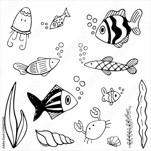 Set of black and white fishes in doodle ink style. Hand drawn sea fish illustration