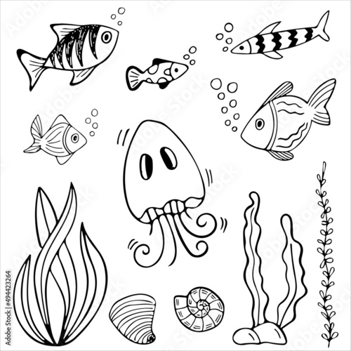 Set of black and white fishes in doodle ink style. Hand drawn sea fish illustration