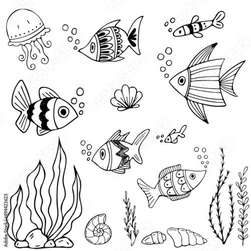 Set of black and white fishes in doodle ink style. Hand drawn sea fish illustration