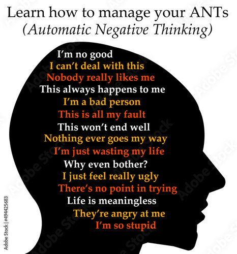 manage personal ants