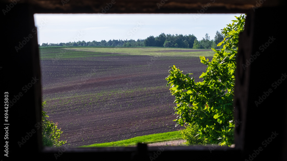 Fototapeta premium A bunker on the Stalin Line in the Minsk district (Belarus). View from the inside through the embrasure. The line of fortifications along the western border of the Soviet Union (USSR).