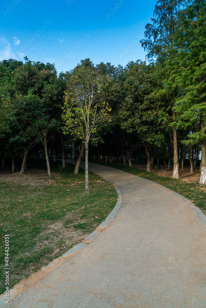 The road of City Park in China