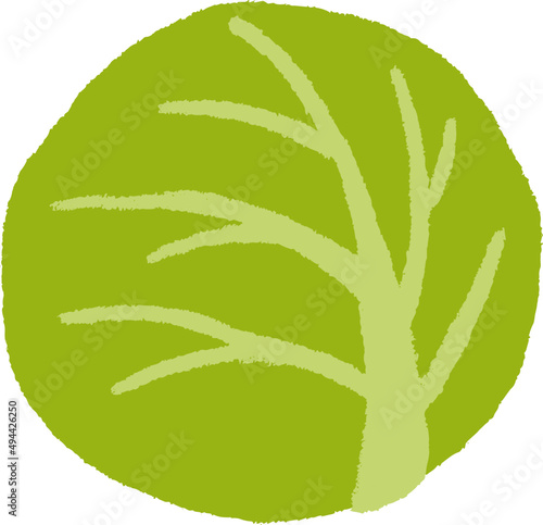 Cabbage Hand Drawn Cartoon Illustration