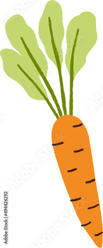 Fresh Carrot Hand Drawn Cartoon Illustration