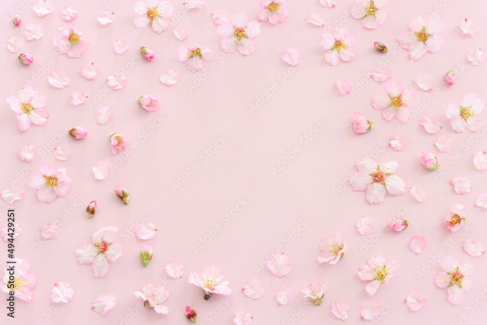 image of spring cherry blossoms tree over pink pastel background