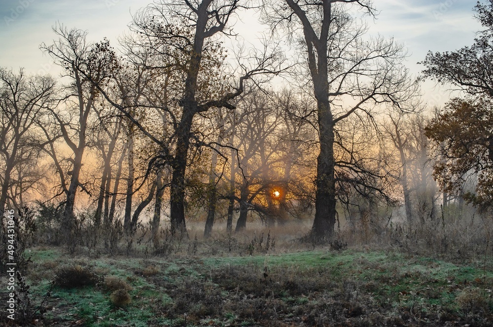 misty morning sunrise