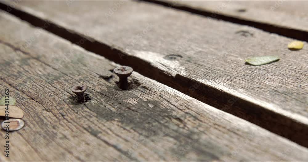 Rusty nail heads pop on rustic weathered wooden deck. Wood board repair, sustainable home
