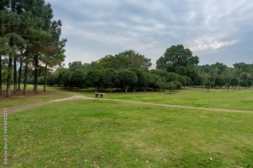 Beautiful panorama of green city park