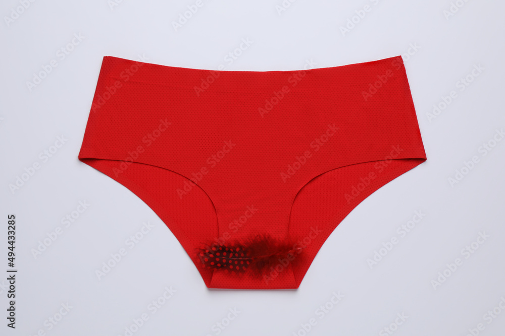 Woman's panties with red feather on white background, top view. Menstrual cycle Woman's panties with red feather on white background, top view. Menstrual cycle