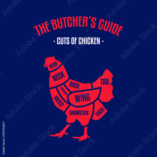 Meat and Chicken cuts. Diagrams for butcher shop. Scheme of Chicken. Vector illustration. Chicken butcher's guide. Used for cooking steak and roast - chicken neck, tenderloin, wing, drumstick, etc.