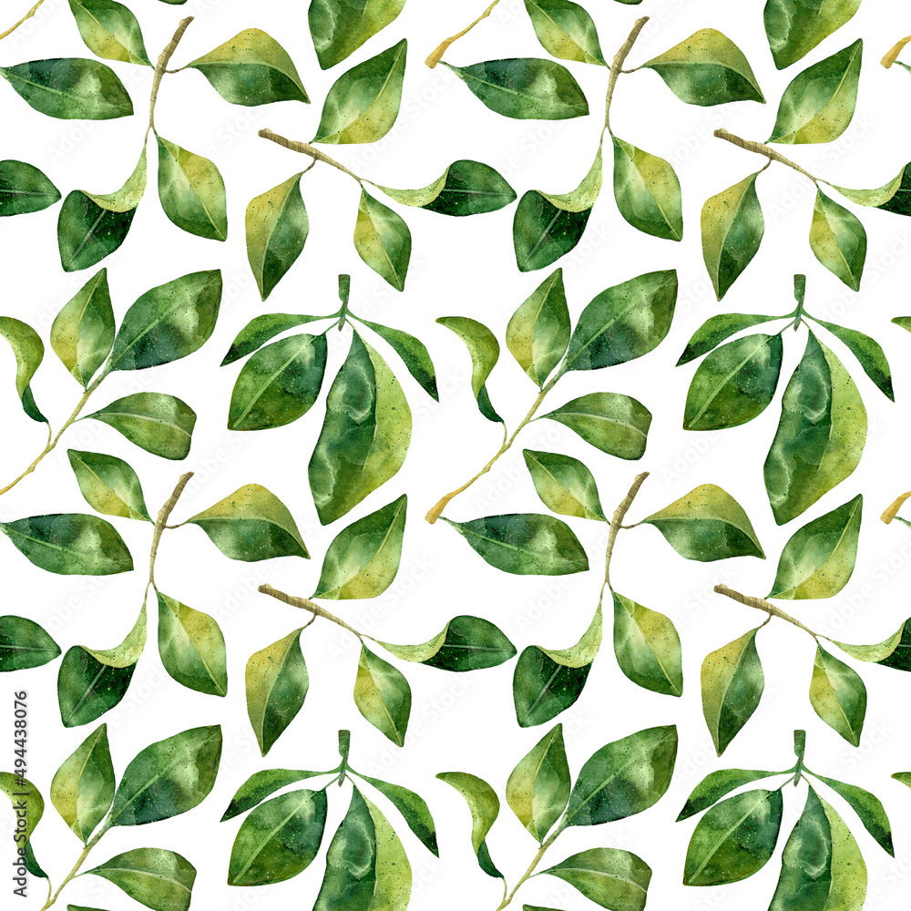 Green leaves watercolor seamless pattern. Botanical painting illustration isolated on white background. Summer Hand drawn illustration. Herbs for cosmetics, package, textile, cards, decoration