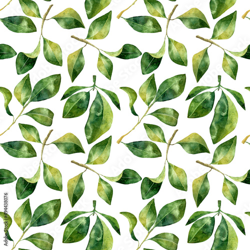 Green leaves watercolor seamless pattern. Botanical painting illustration isolated on white background. Summer Hand drawn illustration. Herbs for cosmetics  package  textile  cards  decoration