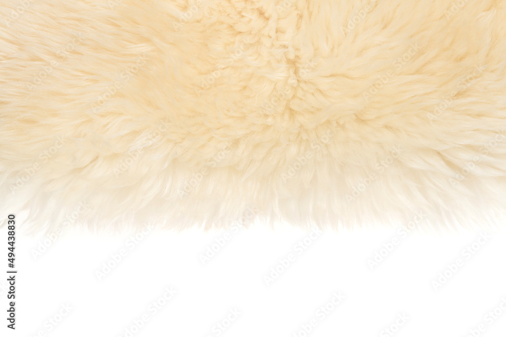 Fototapeta premium Beige fluffy wool texture isolated white background. white natural fur texture. close-up for designers