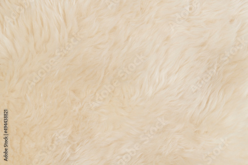 beige fluffy wool texture background. white natural fur texture. close-up for designers