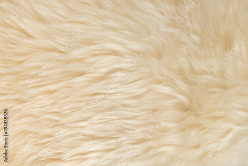 beige fluffy wool texture background.  white natural fur texture. close-up for designers
