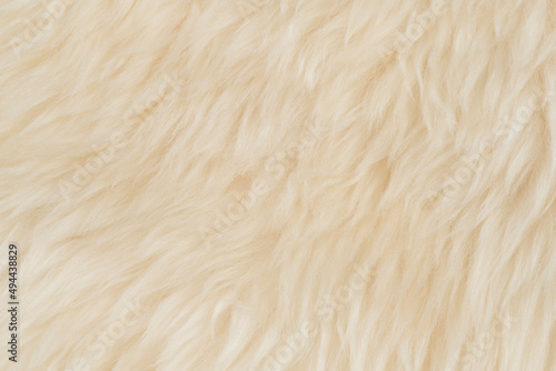beige fluffy wool texture background.  white natural fur texture. close-up for designers