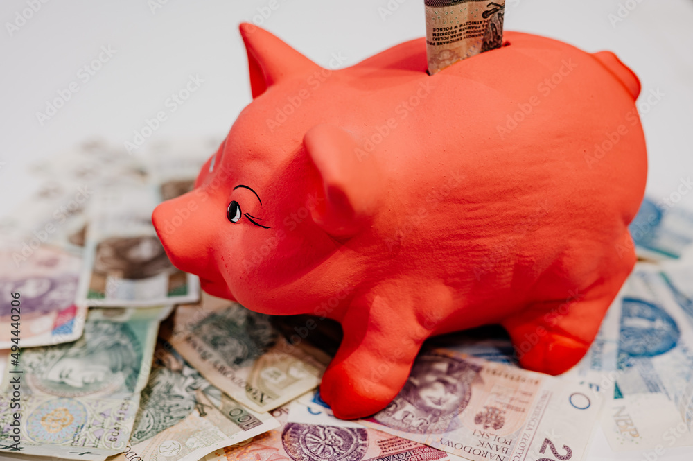 Obraz na płótnie Wielka świnka skarbonka z banknotami - skarbonka, świnka,  oszczędności, fototapety | Foteks