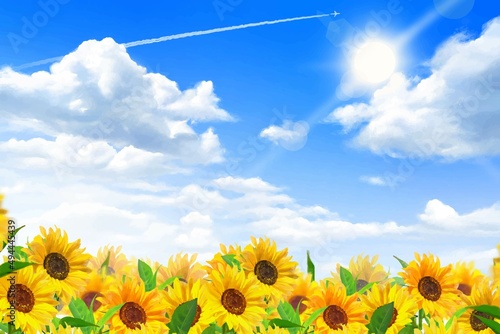入道雲のある青空に太陽の下美しいひまわりが咲くひまわり畑の初夏フレーム背景素材
