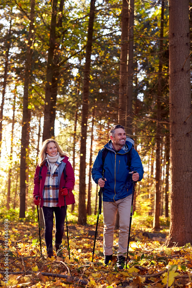 Front View Of Mature Retired Couple Walking Through Fall Or Winter Countryside Using Hiking Poles Front View Of Mature Retired Couple Walking Through Fall Or Winter Countryside Using Hiking Poles