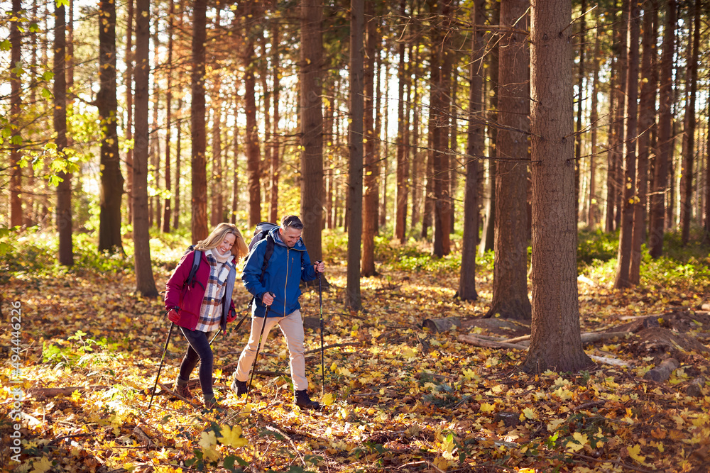 Side View Of Mature Retired Couple Walking Through Fall Or Winter Countryside Using Hiking Poles