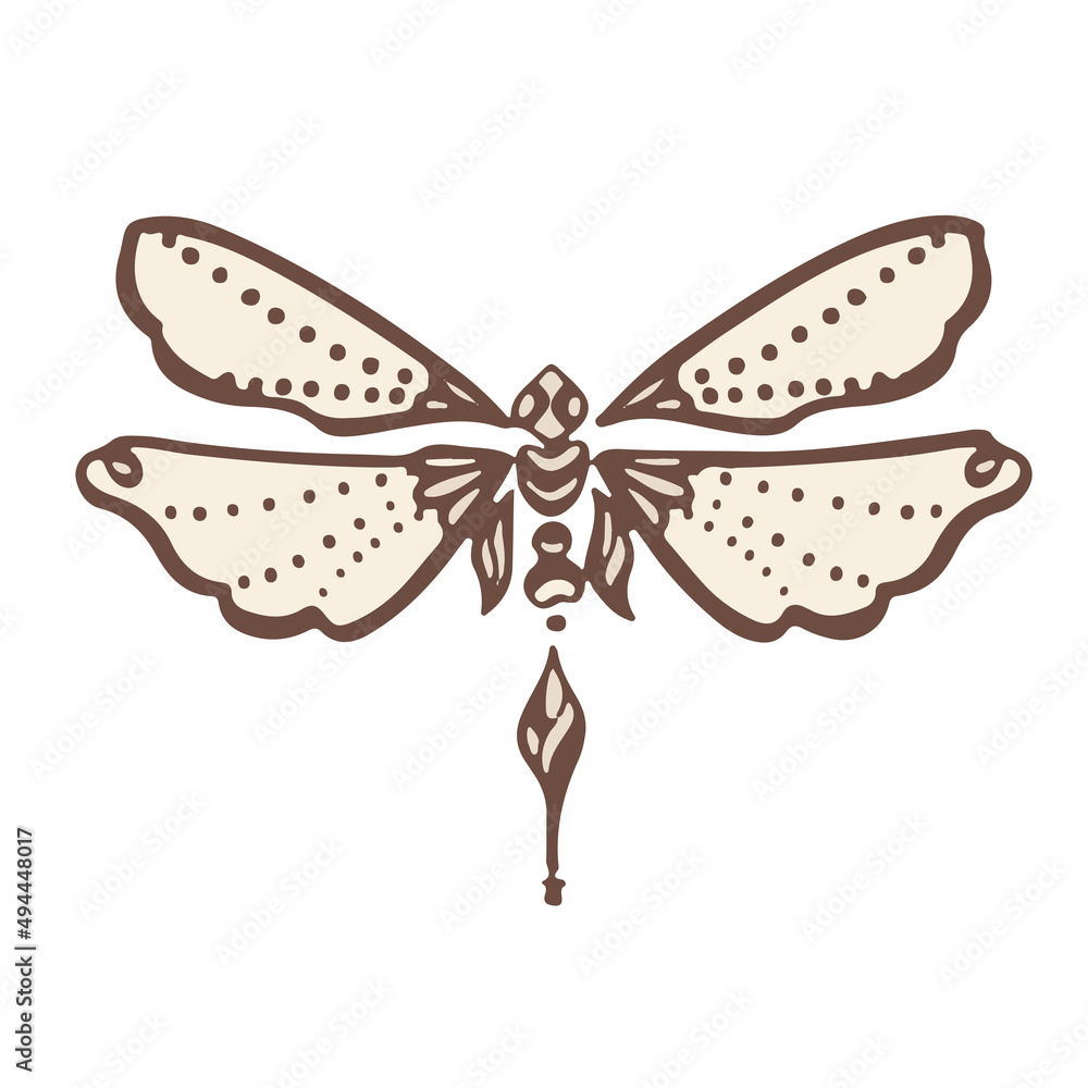 Moth decorative graphic butterfly symbol, illustration vector Moth decorative graphic butterfly symbol, illustration vector