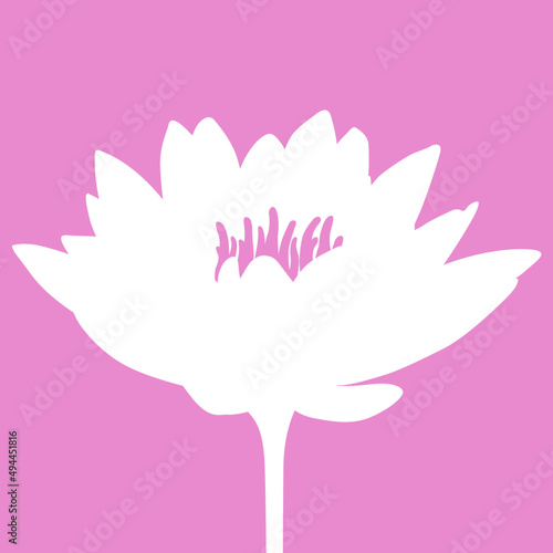 Lotusblume Silhouette in weiß auf rosa Hintergrund