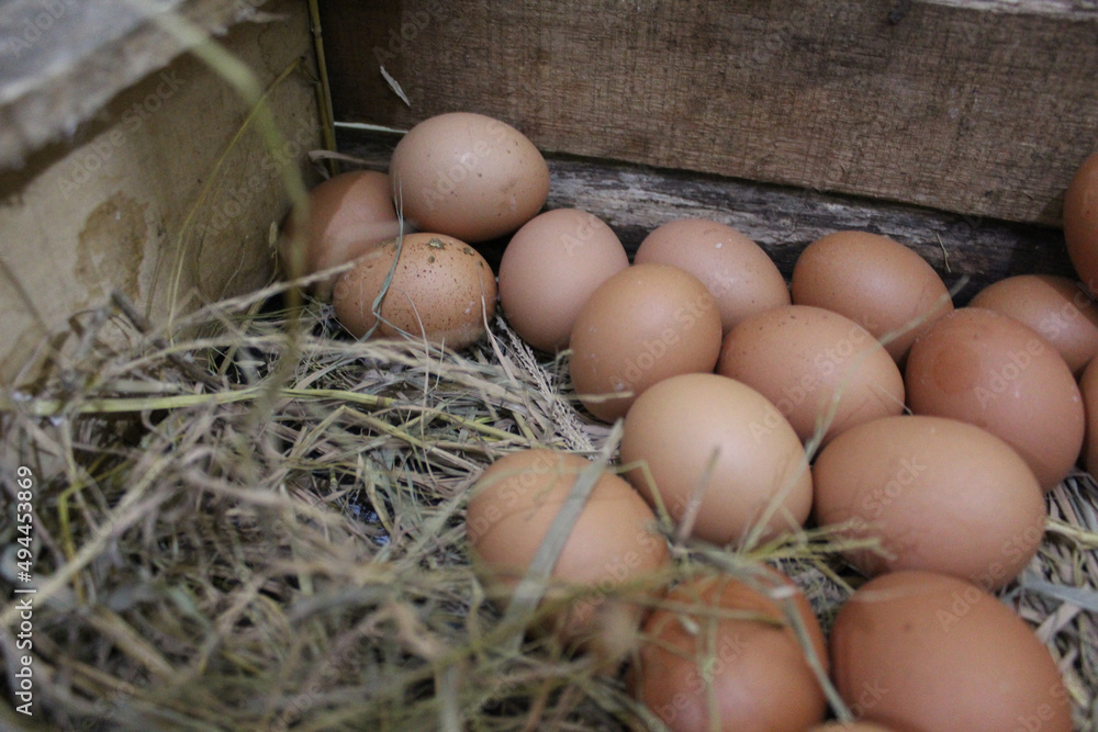 Chicken eggs in the box Chicken eggs in the box