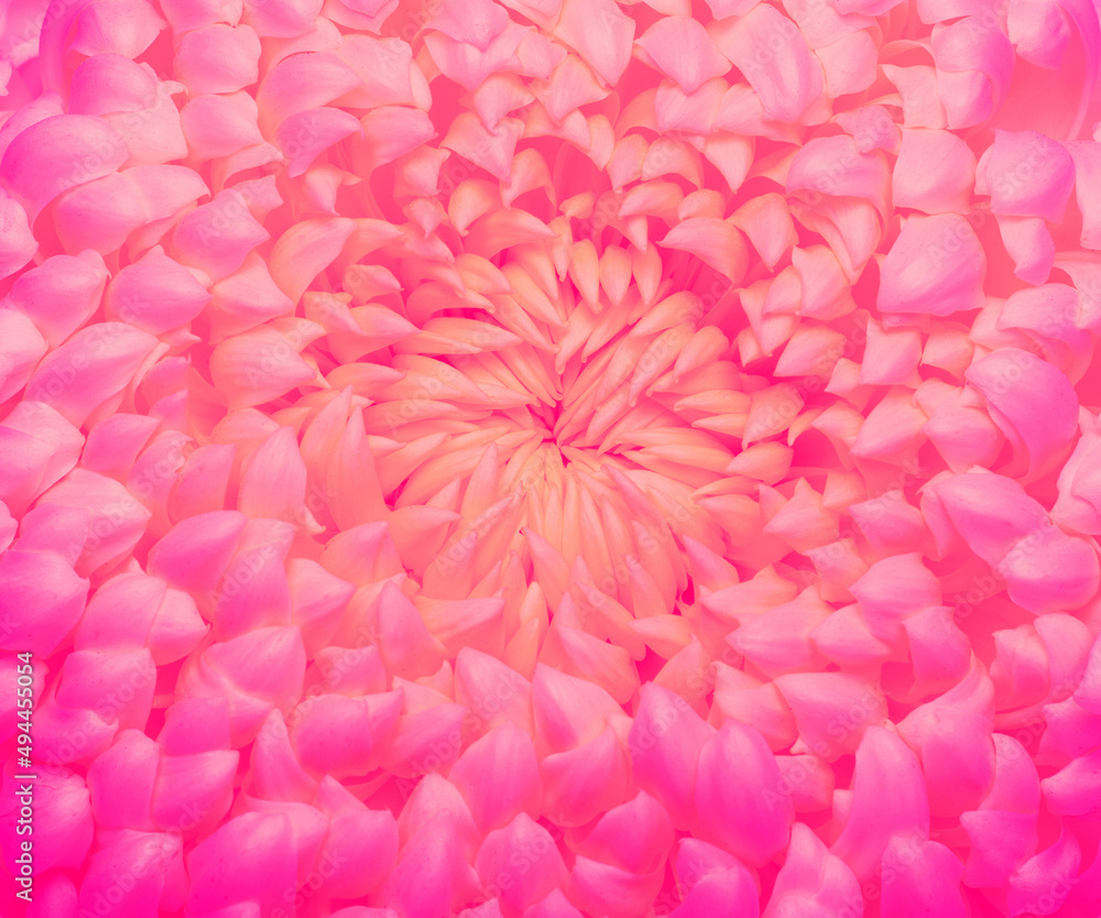 Abstract flower and beautiful petals