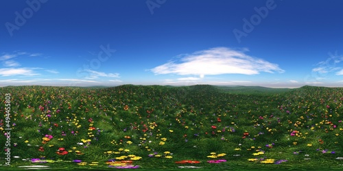 Spring meadow with flowers,, HDRI,  environment map , Round panorama, spherical panorama, equidistant projection, panorama 360, 3d rendering photo