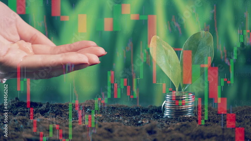 A hand is pouring water onto the soil with coins on it