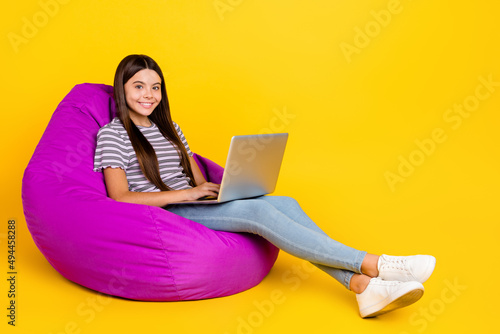 Full body profile side photo of young lady sitting purple beanbag relax use laptop isolated over yellow color background