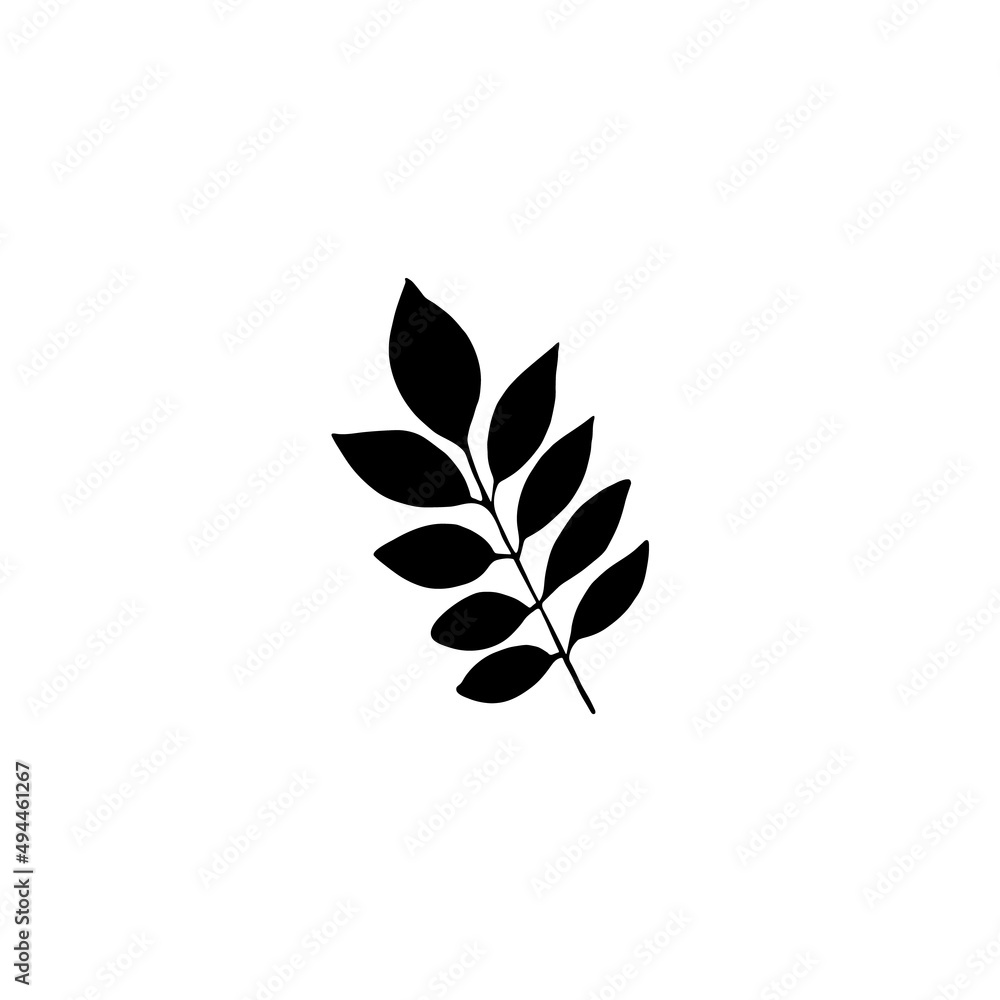Hand drawn forest leaf, branch. Vector illustration for  card, home decor. 
Hand drawn plant for decoration.