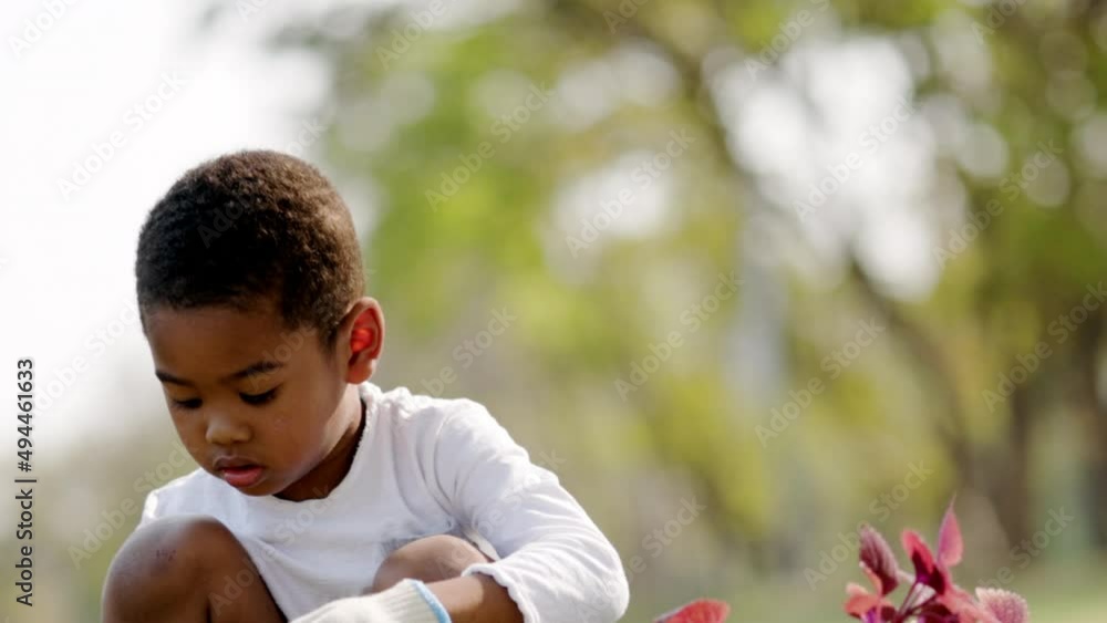 African American boy Doing tree planting activities in lawn park summer ...