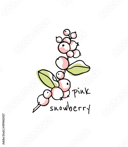 Vector card with hand drawn graceful Pink Snowberry branch with ripe fruit. Beautiful ink drawing, graphic style. Botanical design elements.