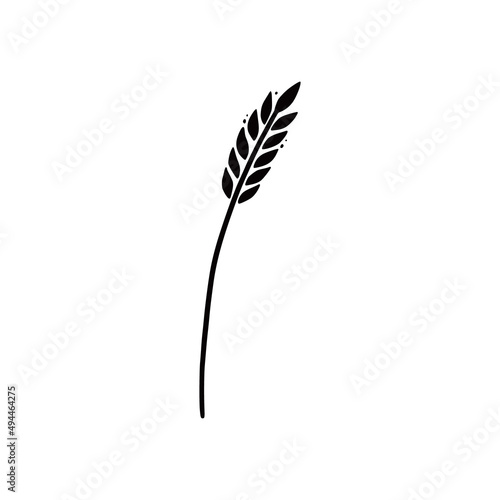 Wheat, barley, rice icon. Hand drawn sketch style oat with grain. Wheat isolated vector illustration.