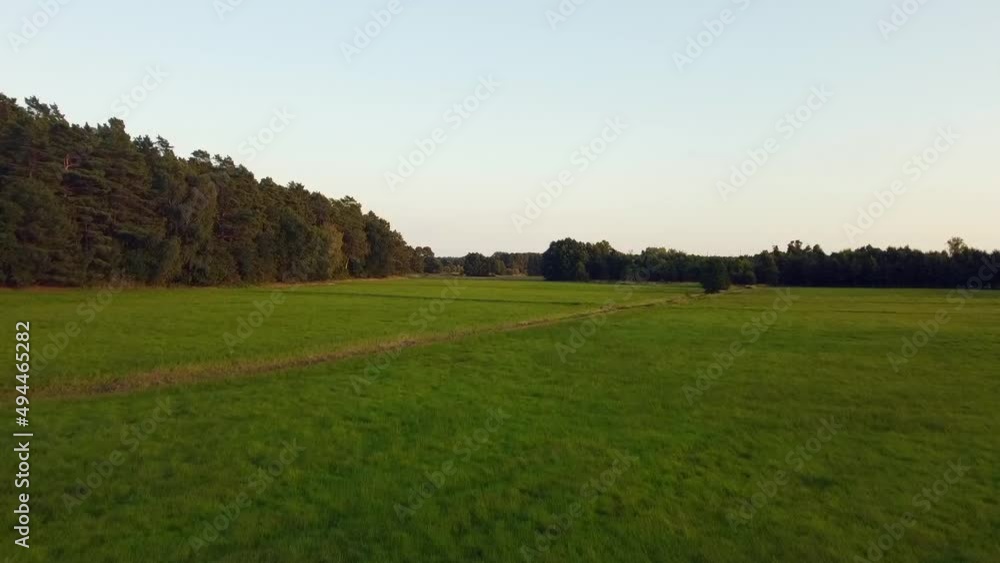 1 million $ aerial flight fly forwards drone shot close to ground up to the skyin nature reserve Müritz Seen Park Mecklenburg Brandenburg Germany Aerial view. Cinematic nature 1 million $ aerial flight fly forwards drone shot close to ground up to the skyin nature reserve Müritz Seen Park Mecklenburg Brandenburg Germany Aerial view. Cinematic nature