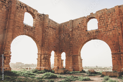 Fotografie, Obraz Of ruins Timgad Roman in Batna