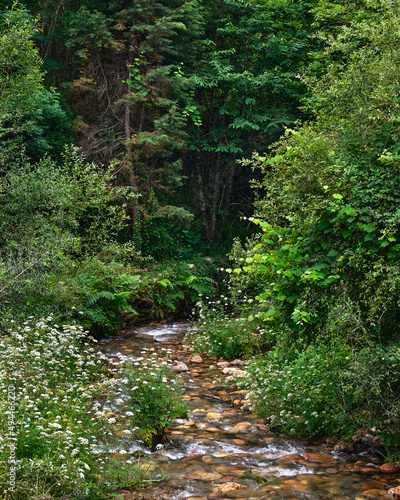 Closeup of a small river through a rocky path and trees in Vilarinho de Sao Luis, Aveiro, Portugal photo