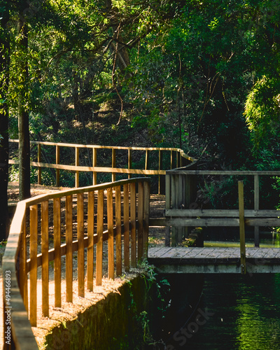 Closeup of a walkway in a forest in Oliveira de Azemeis, Aveiro photo