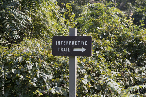 Sign of an interpretive trail near green bushes photo