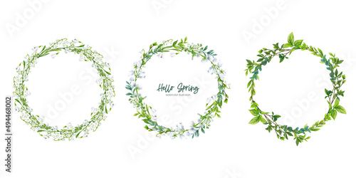 Spring flowers and leaves. Hand drawn vector