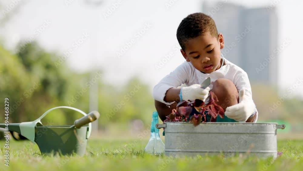 African American boy Doing tree planting activities in lawn park summer ...