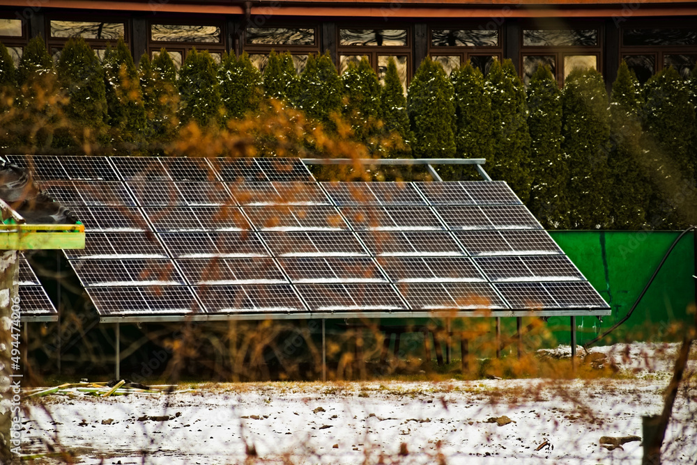 Elektryczny panel słoneczny o dużym formacje ( powierzchni) w ogrodzie , na tle krzewów iglastych . Ekologia , eco , przyjazny klimatowi . - obrazy, fototapety, plakaty 
