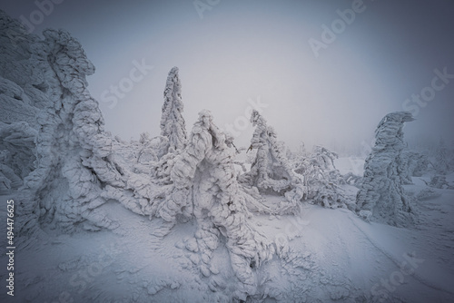 Photo of a colored winter morning on the border of Germany photo