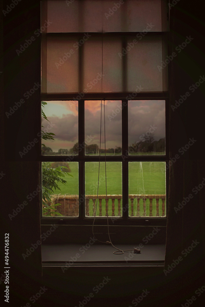 Window garden view Window garden view